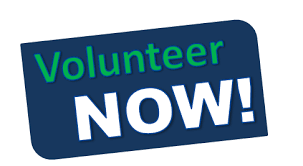 Volunteer Now